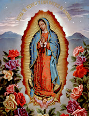 Virgen de Guadalupe. México.