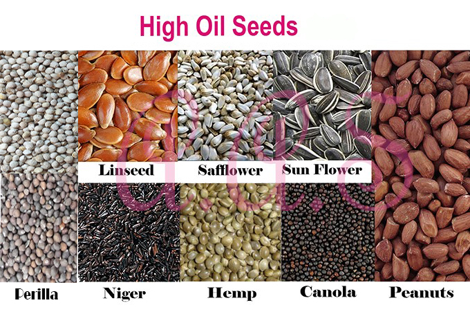 مجموع أنواع مختلفة بذور الطيور لانقاص الوزن أوناما