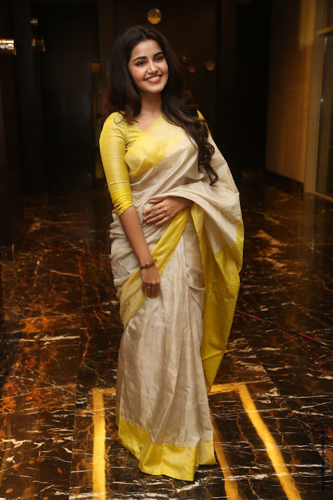 Anupama Parameswaran at SVC Success Celebrations