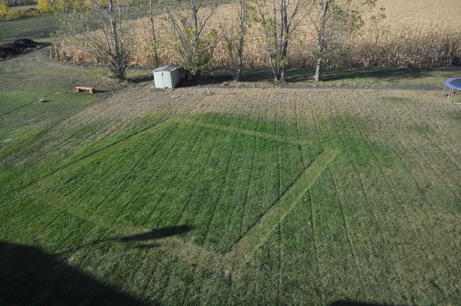 Attempting Craftiness: Backyard Baseball Diamond