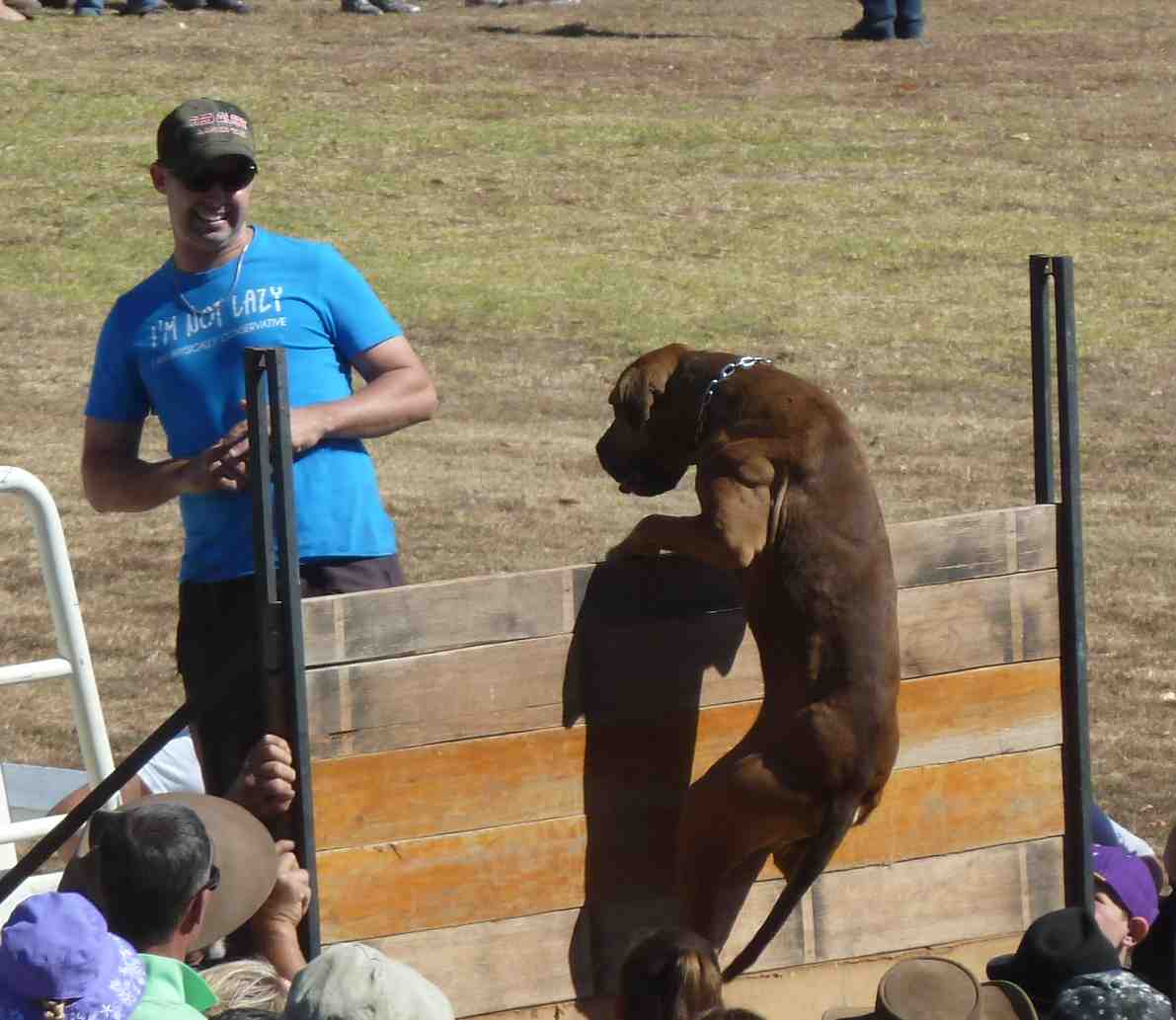 Musing's of a Gardener Holidays and Return