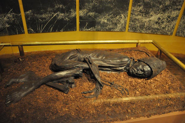 Tollundmanden - człowiek z Tollund - mumia z duńskiego bagna z epoki żelaza