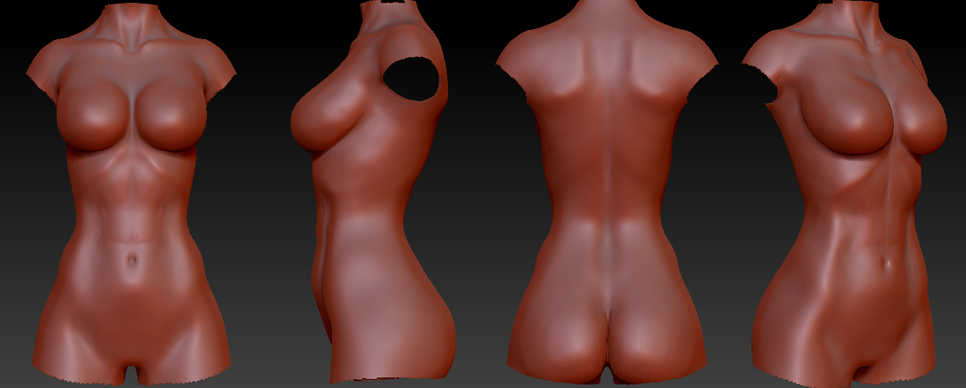 viv2Btorso2Bstudy2B1png