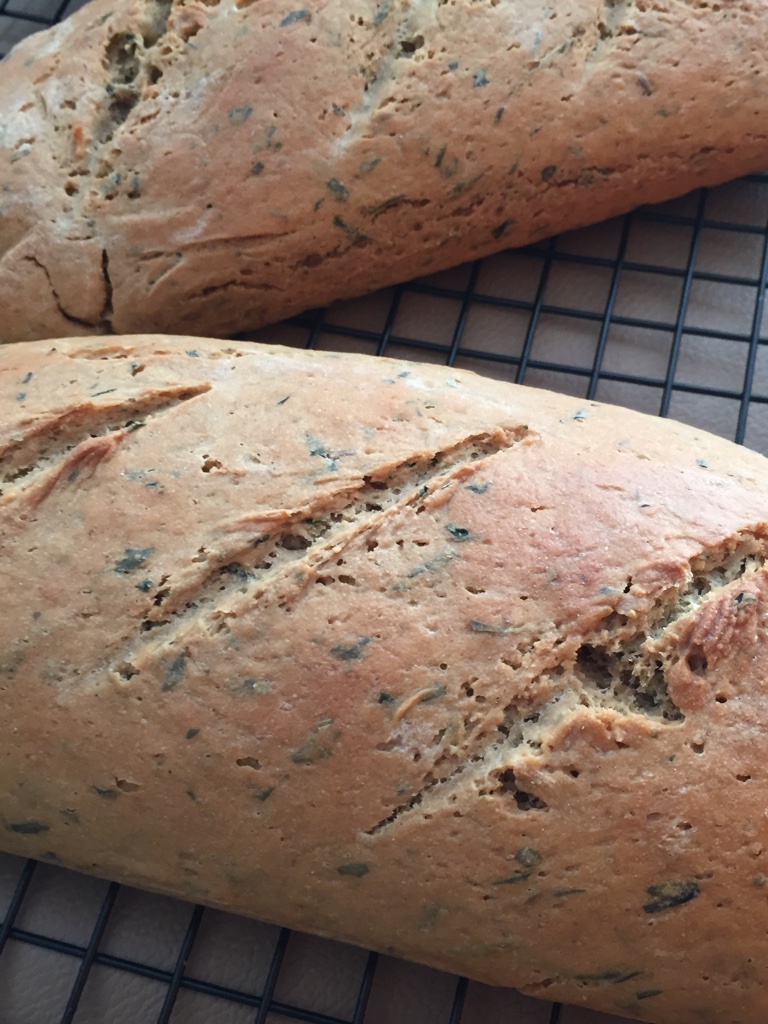 Sizzling Tastebuds Coriander Cumin Bread for Breadbakers