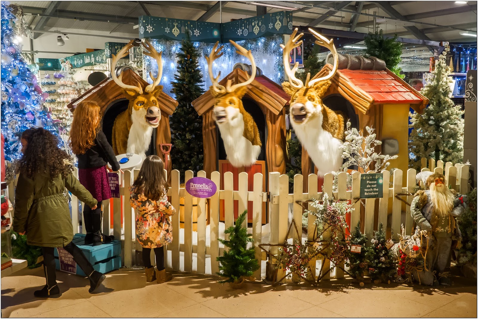 Lincolnshire Cam Christmas at Pennells Garden Centre, Lincoln 2017.