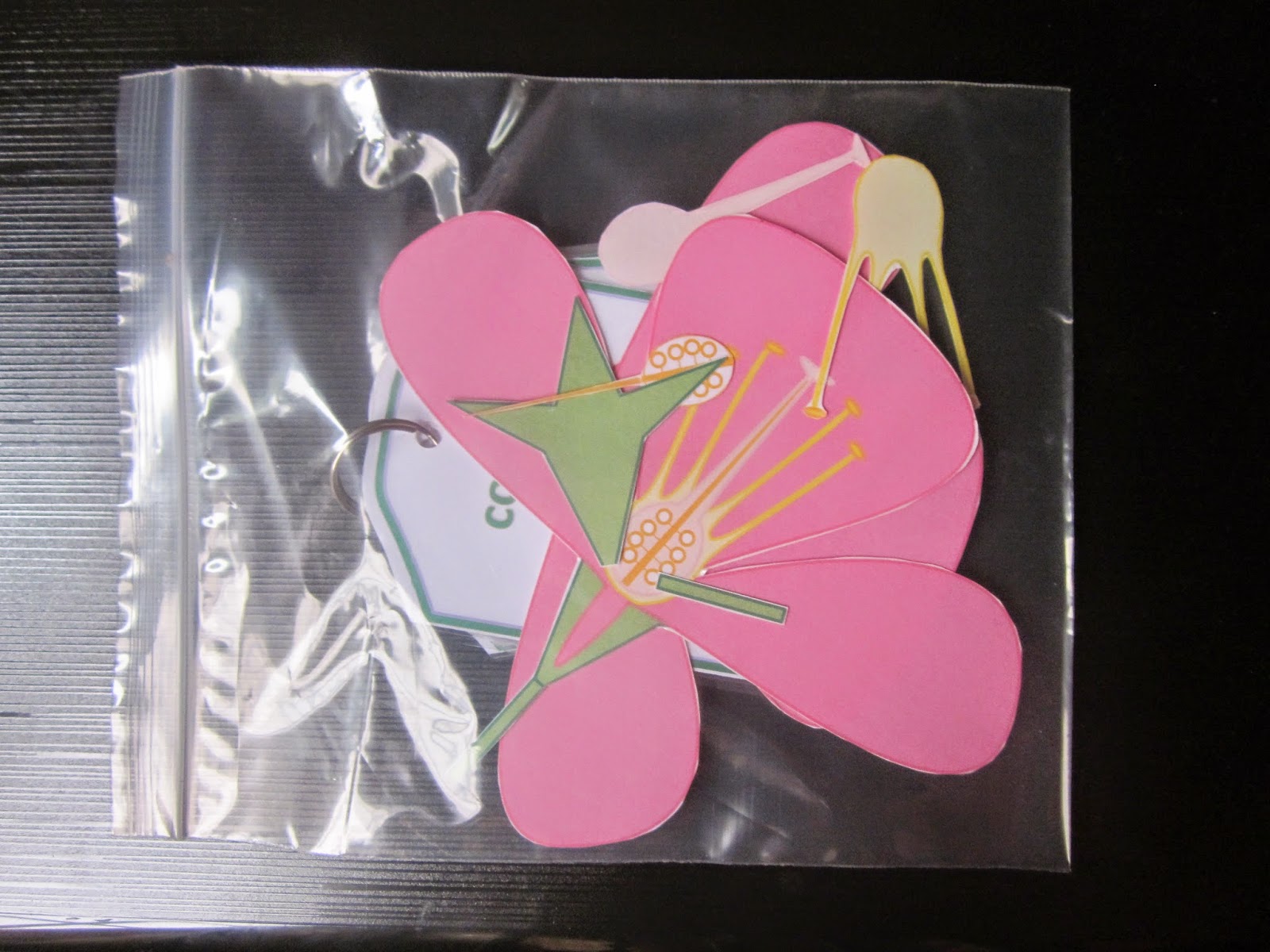 Nyla's Crafty Teaching: Parts of a Flower Activities