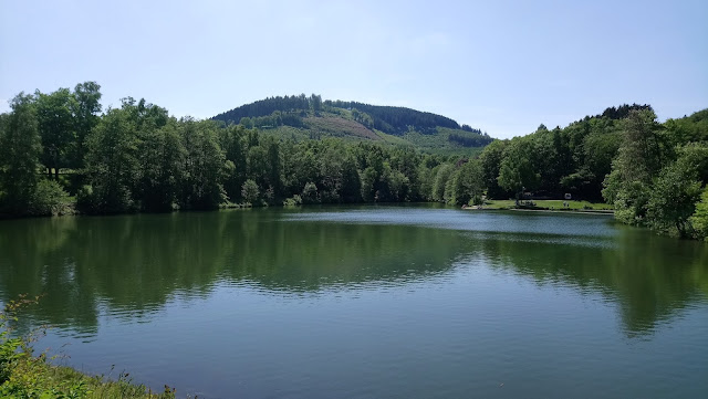 [Bild: DSC_0018.jpg]