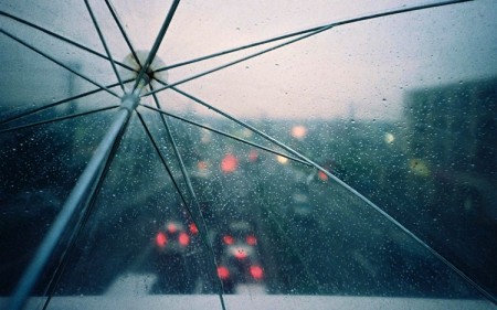 صور مطر