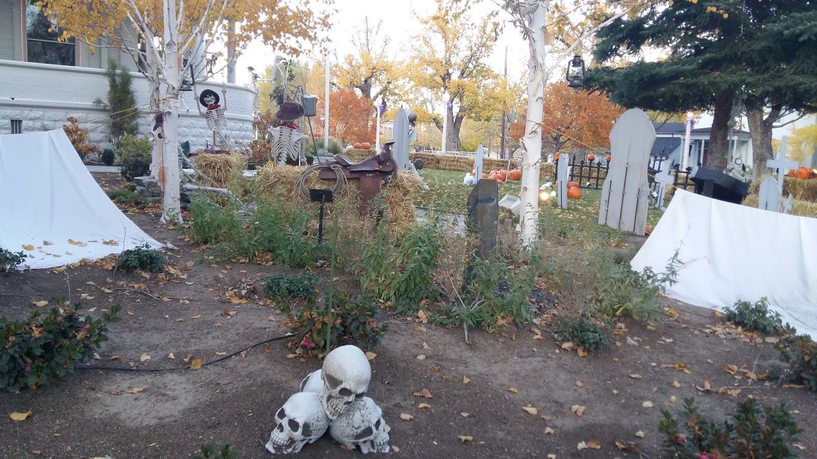 Viens on part De Carson City à Yosemite Park