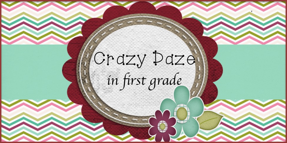 Crazy Daze in First Grade