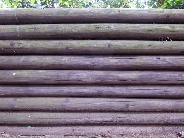 木の塀,新宿御苑〈著作権フリー無料画像〉Free Stock Photos