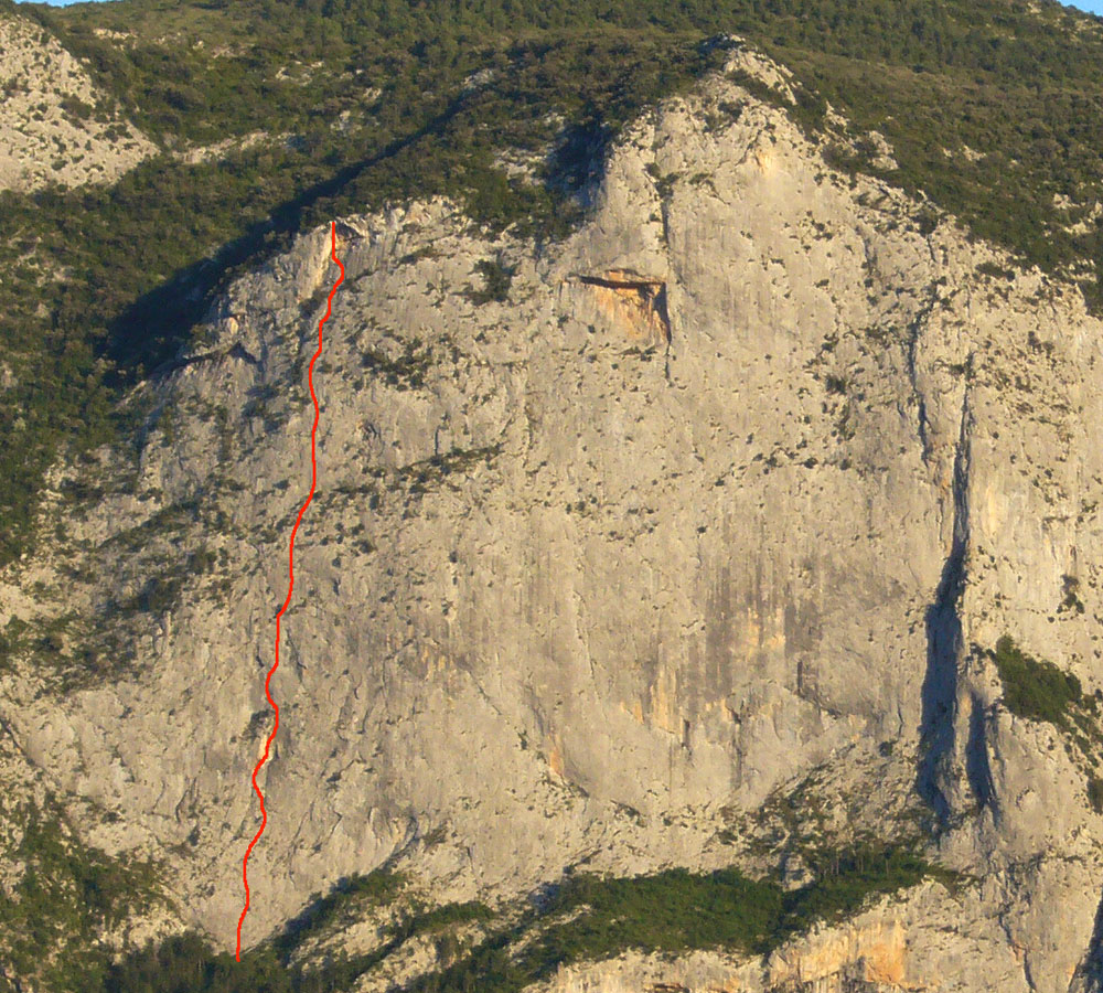 La noche del loro 2: ROCA NARIEDA - PÀNIC TIMPÀNIC