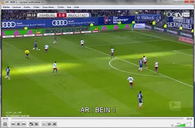 xbmc rte player xbmc rte player