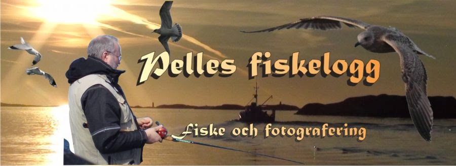 Pelles Fiskeblogg