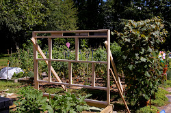 coop incorporate planning five features into