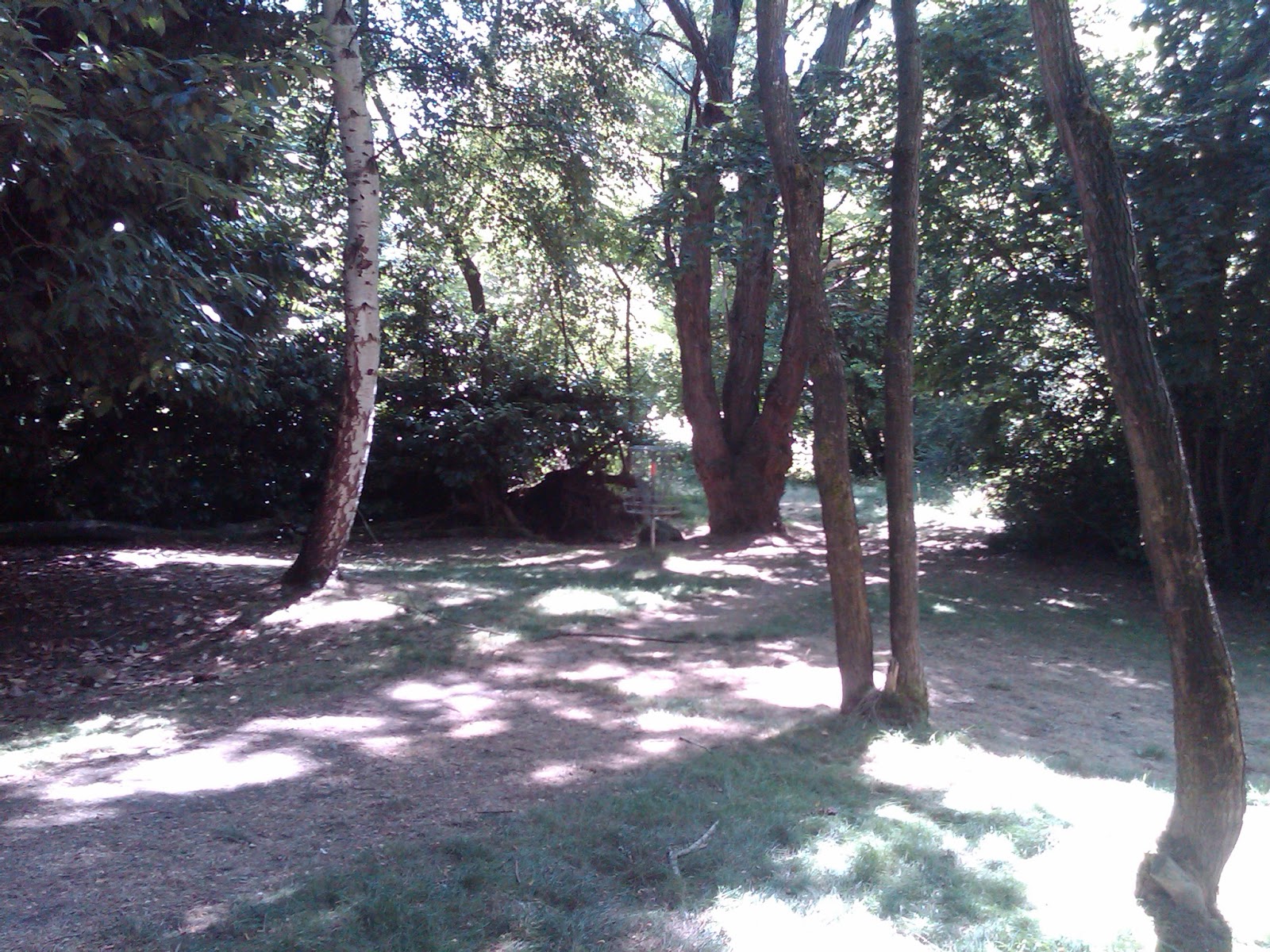 You Care What We Think: Seatac Disc Golf Course Seatac WA You Care What We Think: Seatac Disc Golf Course Seatac WA