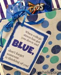Blue themed care package ideas @michellepaigeblogs.com