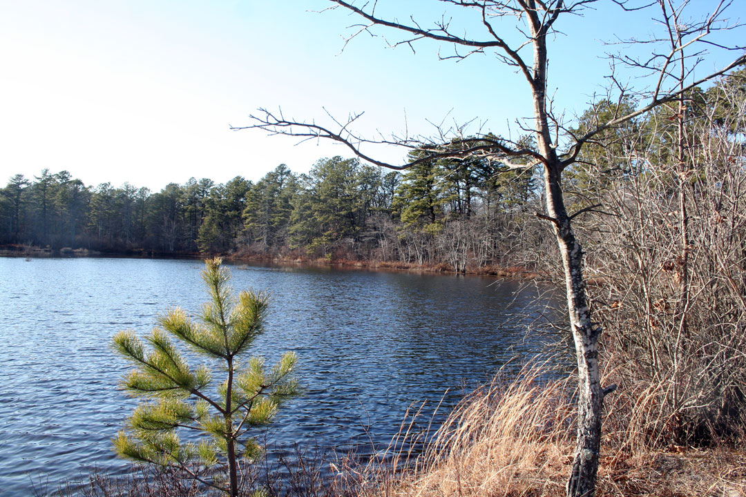 Long Island Images Calverton Ponds Preserve