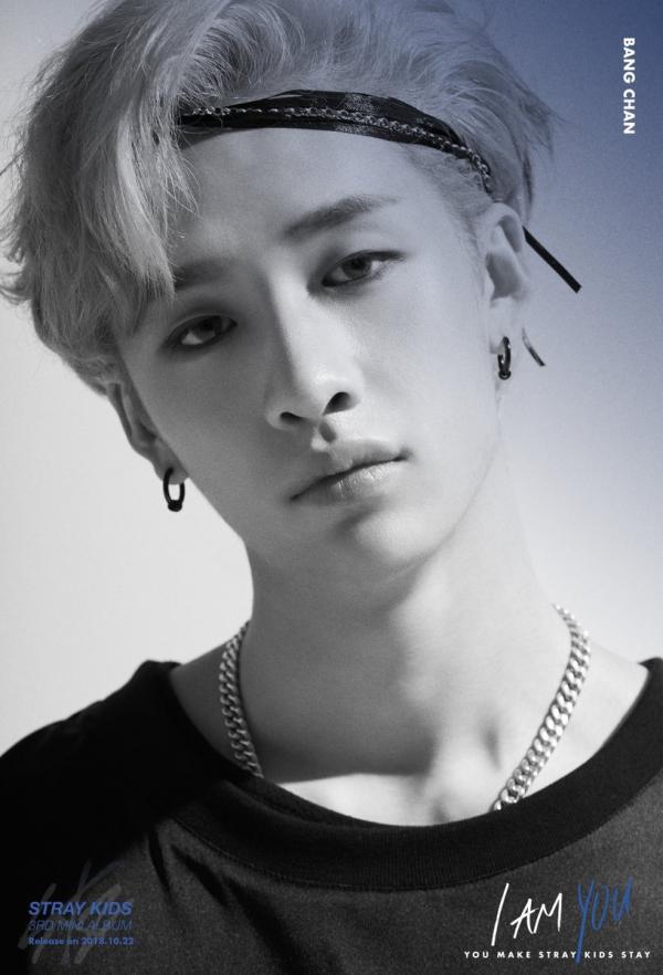 Profil, Biodata, Fakta Stray Kids - Omah Kpop