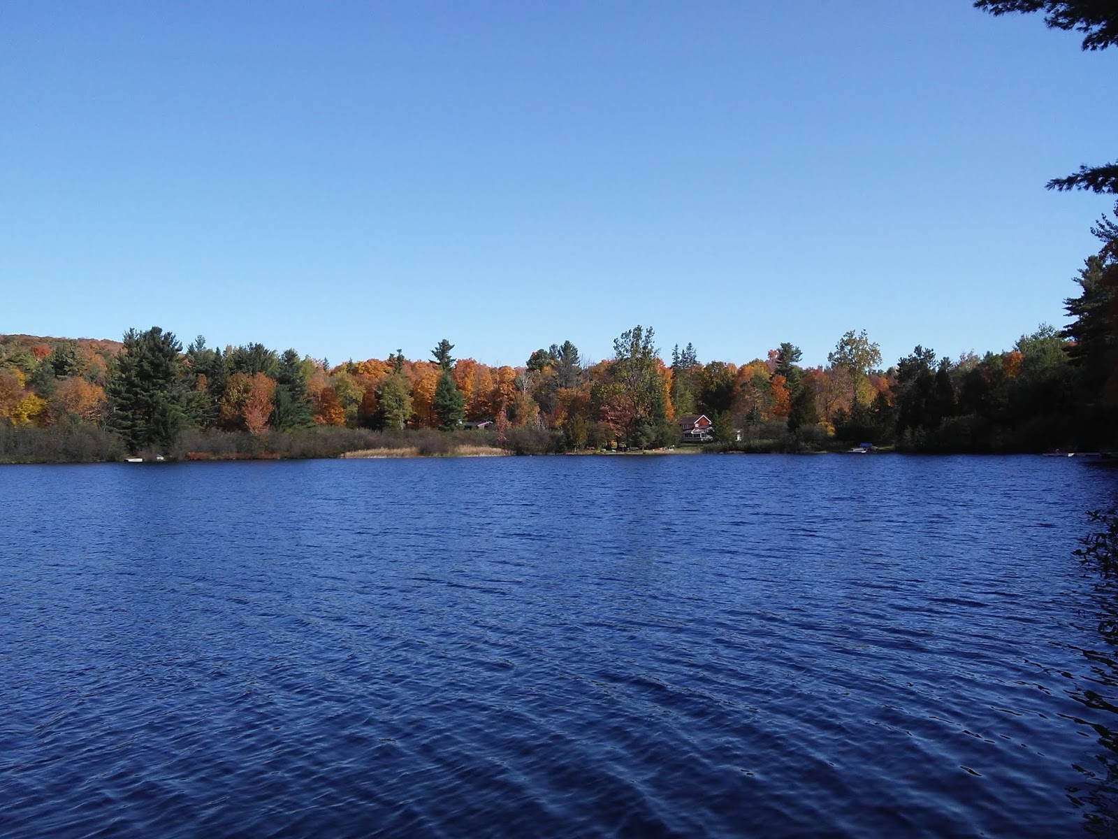 Ottawa Daily Photo: Kingswood And Kingsmere Lake