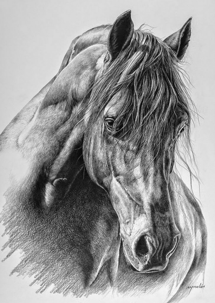 dibujos-dibujos-artisticos-de-caballos