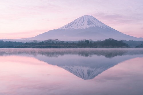 Images of inspiration in Lavender, Lilac and Mauve