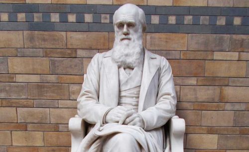 Monumen charles Darwin Gambar Monumen charles Darwin