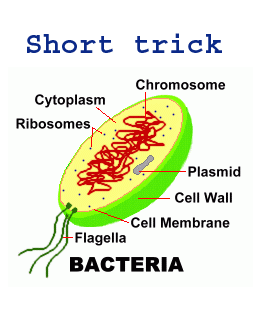 short trick diseases caused - Science Biological Short Trick Notes With Questions
