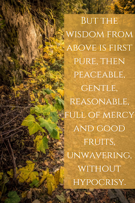 Wisdom from above is first pure, then peaceable, gentle, reasonable, full of mercy and good fruits, unwavering, without hypocrisy! James 3:17