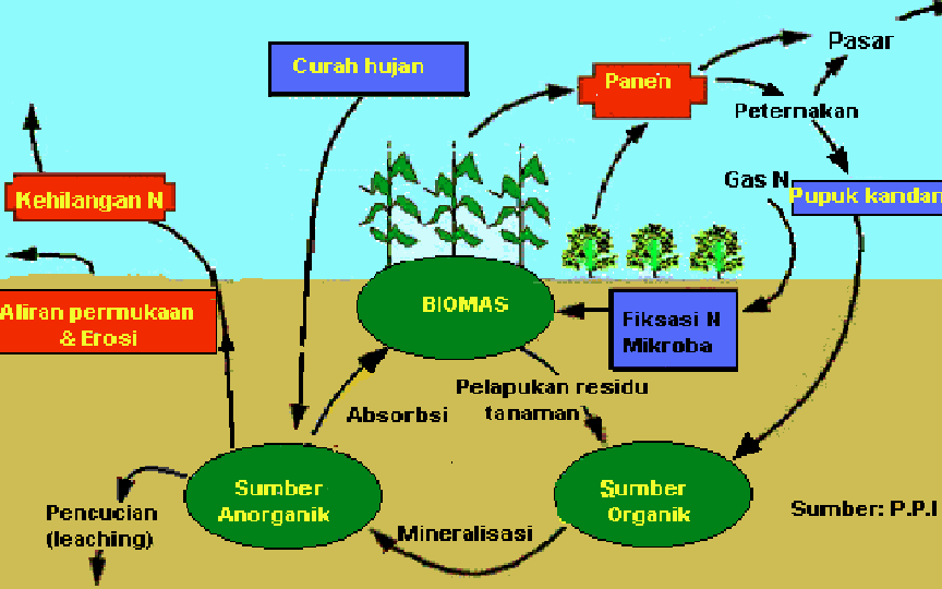 Mitra Petani Pengelolaan Lahan Untuk Budidaya Sayuran