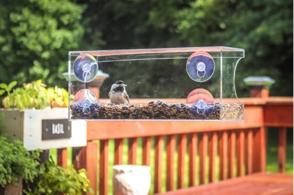 Char's Daily Reviews Window Bird Feeder
