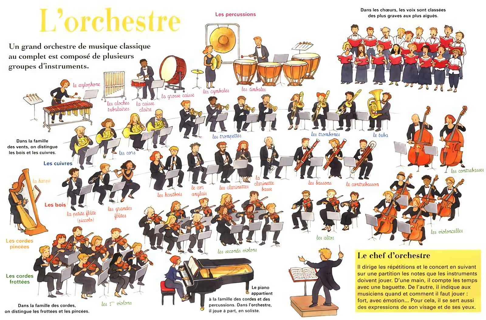 Comment lire une partition d'orchestre ?