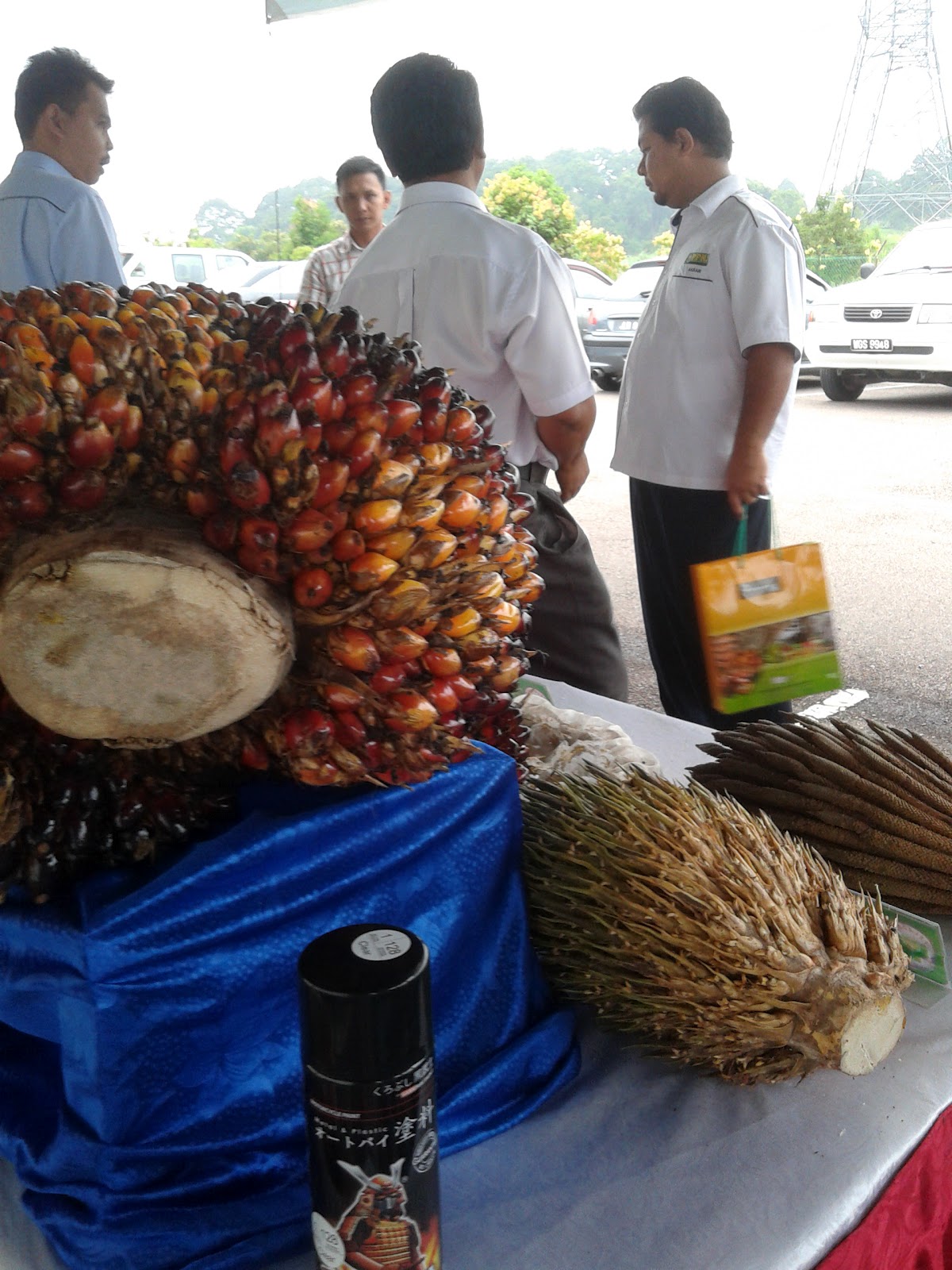 JOHOR PLANT TECH SDN BHD AKTIVITI SYARIKAT