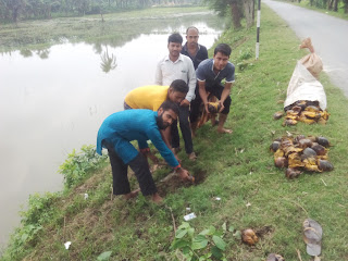 “পৃথিবী দীর্ঘতম তালের সারি তৈরীর লক্ষ্যে”  "In order to develop the world's longest row of palm"