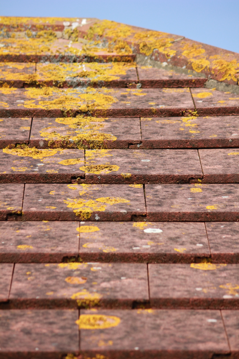 Art of Photography Horizontal and Vertical Lines