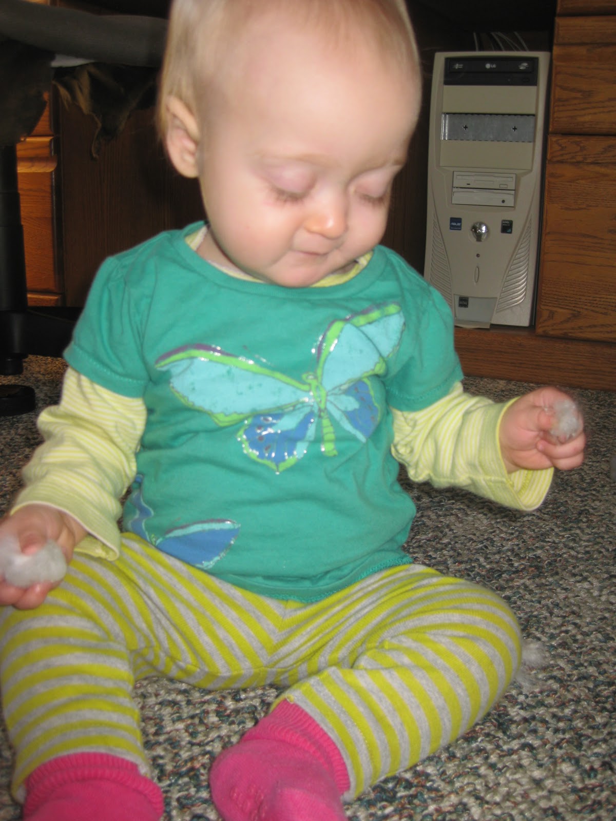 Adventures of West and Lula pulling apart cotton balls