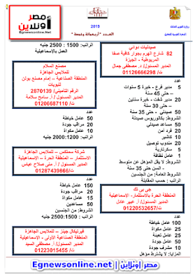 تقرير بجميع وظائف وزارة القوى العاملة كاملة لشهر مارس 2019