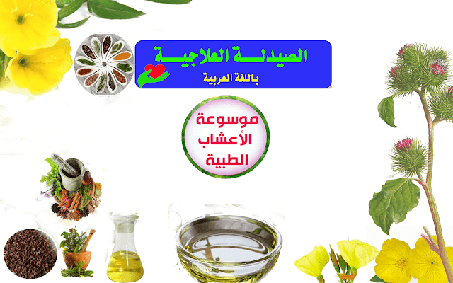 موسوعة الاعشاب الطبيه وكيفية التعامل معها من الالف الي الياء موسوعة الاعشاب الطبيه وكيفية التعامل معها من الالف الي الياء
