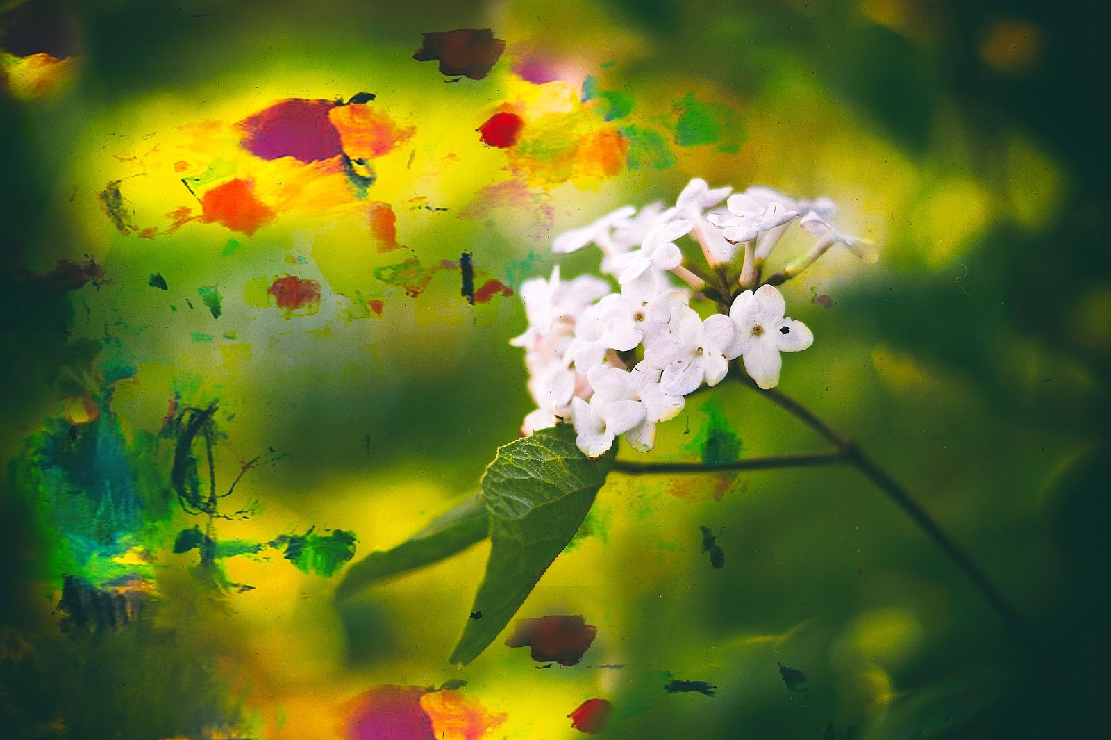 Wo Stille Wohnt Und Glanz April 2019