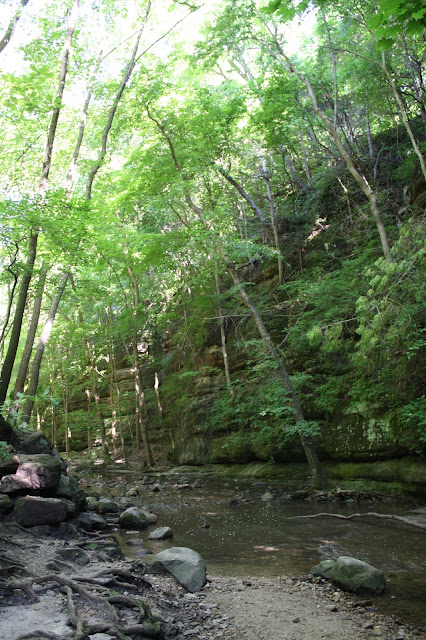 Matthiessen is a blend of forest, rock formations, stream and more.