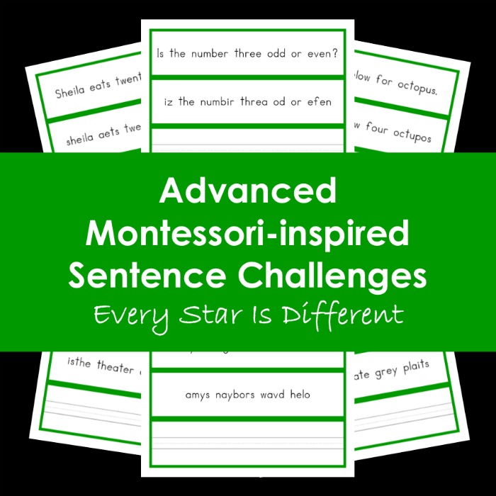 Advanced Montessori-inspired Sentence Challenges