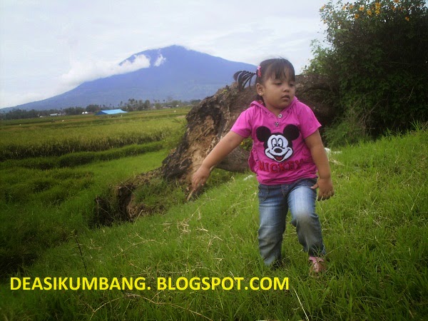 Wisata Garut, Jawa Barat : Situ Bagendit Wisata Garut, Jawa Barat : Situ Bagendit