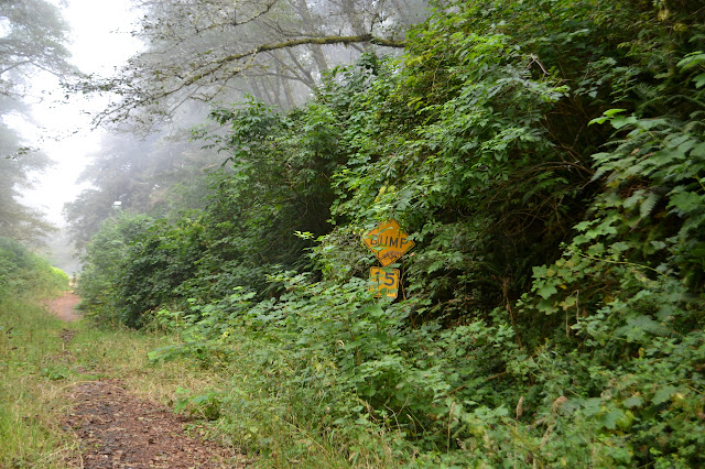 sign for a bump