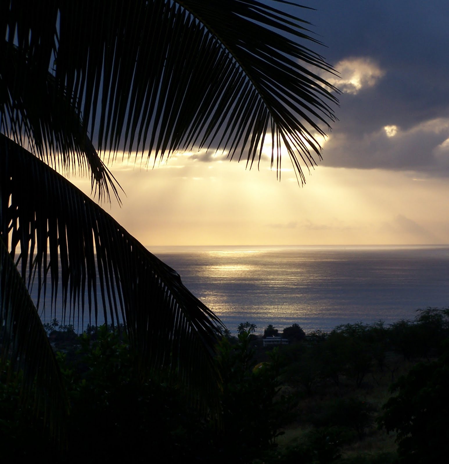 Baywire Makaha, a Less Traveled Hidden Jewel of Oahu