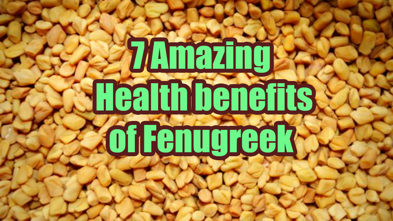 7 Amazing Health benefits of fenugreek Benefits of fenugreek Is