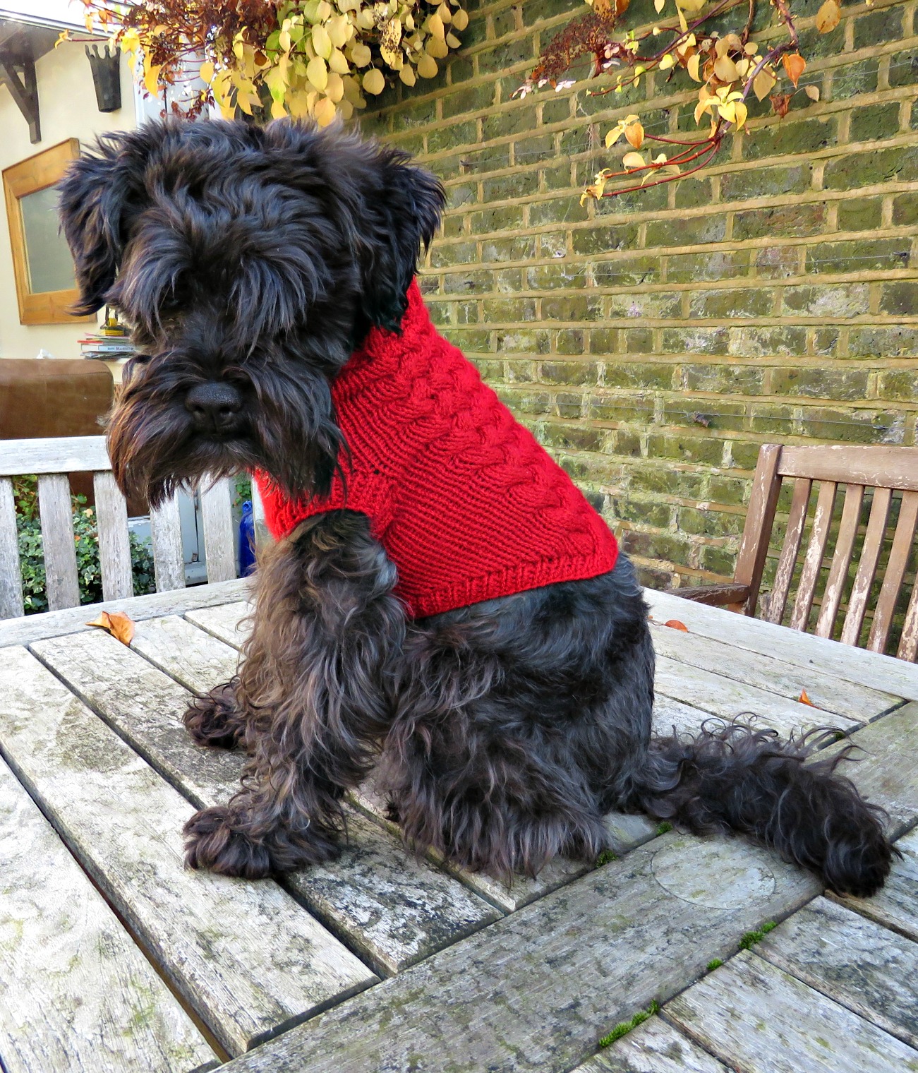 miniature schnauzer christmas jumper