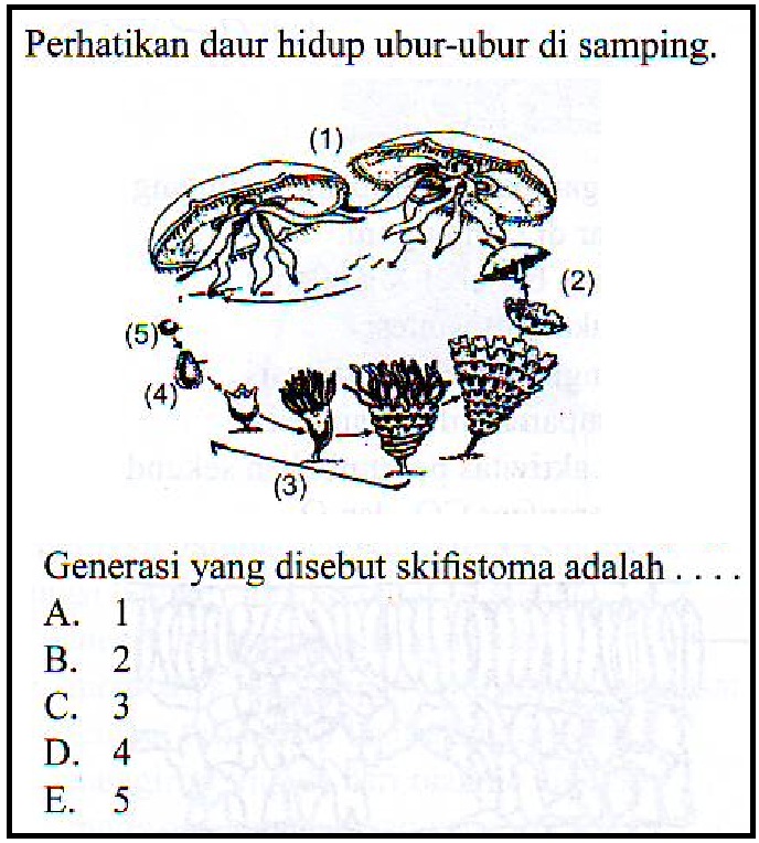 Konsep Soal Anatomi Fisiologi Dasar, Paling Baru!