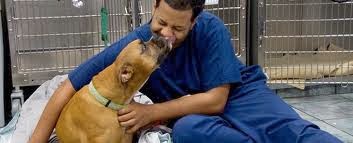 bluepearl veterinary