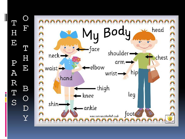 GOING TO STUDY ENGLISH!!: The Parts of the Body
