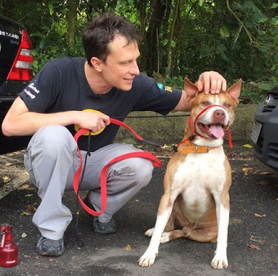 Alexandre Rossi, o Dr. Pet, esteve em Santos para fazer avaliação de Guga, pit bull de 5 anos 